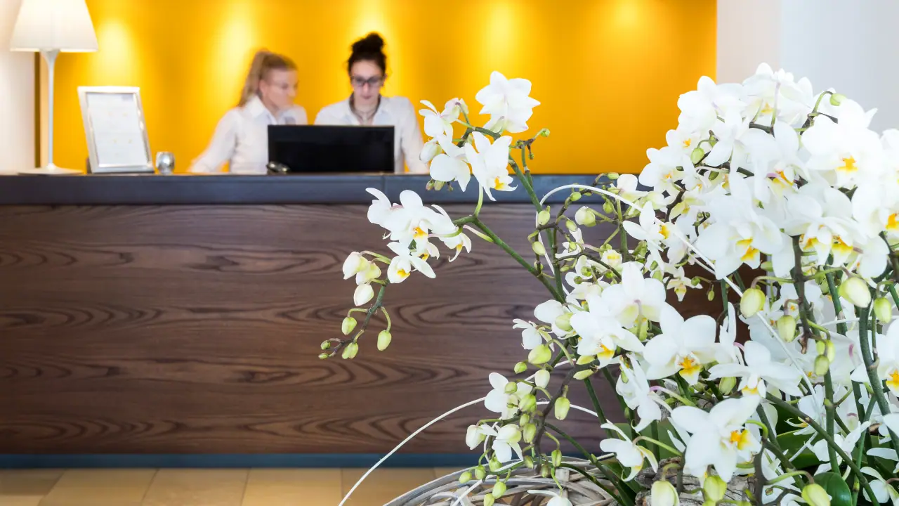 Heidvogel mavida tselmz